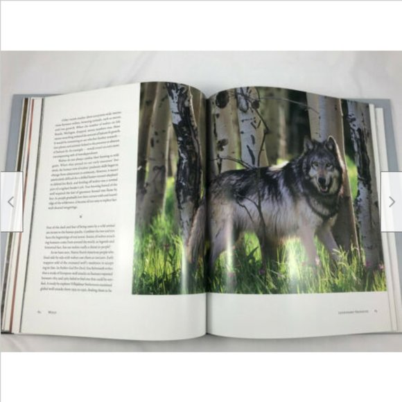 WOLF Legend Enemy Icon Hardcover Coffee Table Book R. Grambo Daniel Cox 2005 - Picture 3 of 11